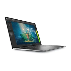 dell p 2